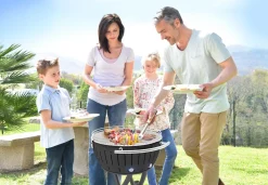 LotusGrill Rooster RVS XL