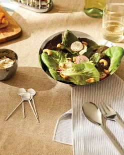 Alessi Saladeschaal Human Collection 22 cm Best