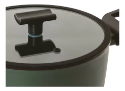 Sauspan Sambonet Titan Pro Green Double Induction 2 Handles 24 cm
