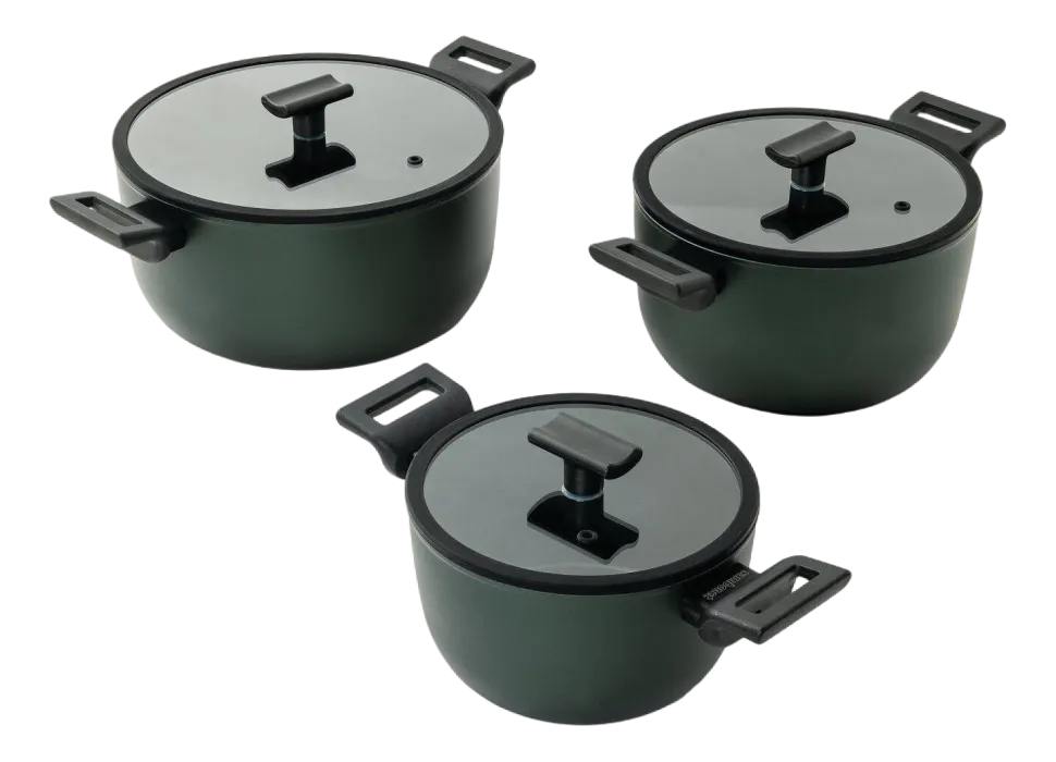 Sauspan Sambonet Titan Pro Green Double Induction 2 Handles 24 cm