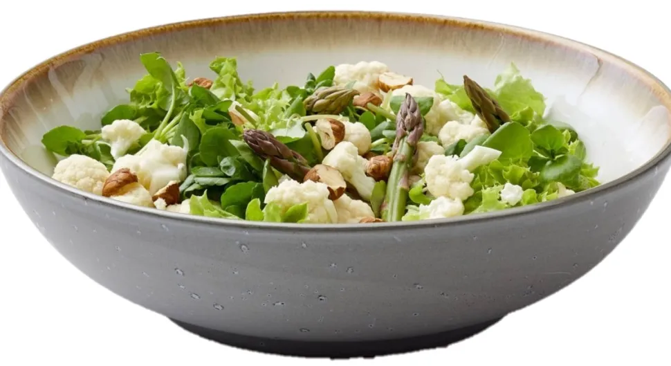 Schaal Bitz Gastro Grijs Créme 24 cm