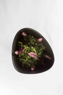 Schaal Lind DNA Stoneware Bowl M Black