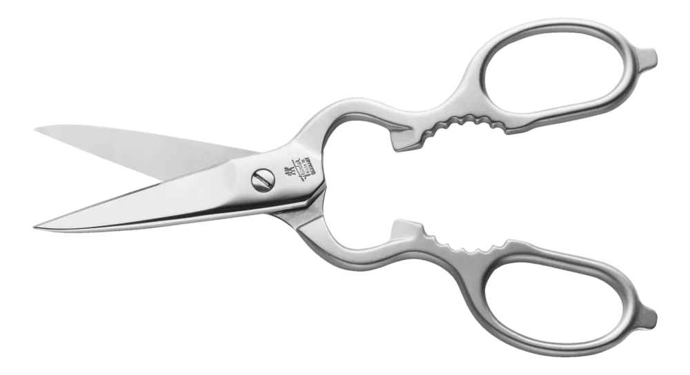 Zwilling Schaar Multifunctioneel Mat Gepolijst