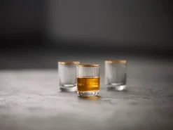 Shotglas Lyngby Palermo Clear 60 ml (Set van 6)