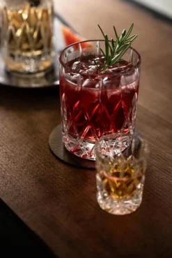 Schott Zwiesel Shotglas Age 60 ml (Set van 4) Sale