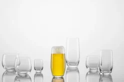 Shotglas Schott Zwiesel For You 75 ml (4-delig)