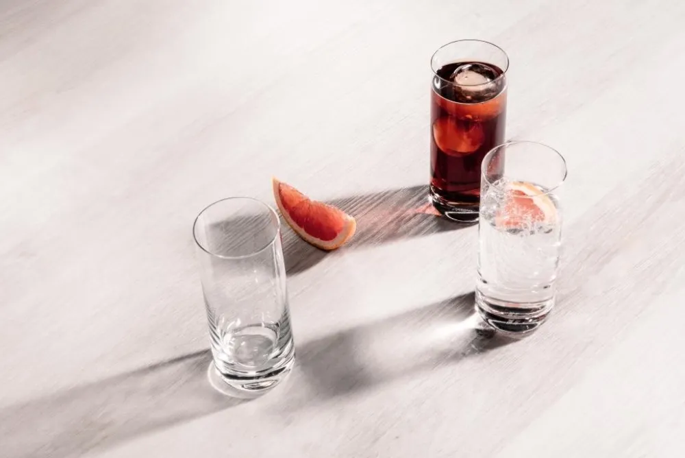 Schott Zwiesel Shotglas Simple (Convention) 46 ml (Set van 6)