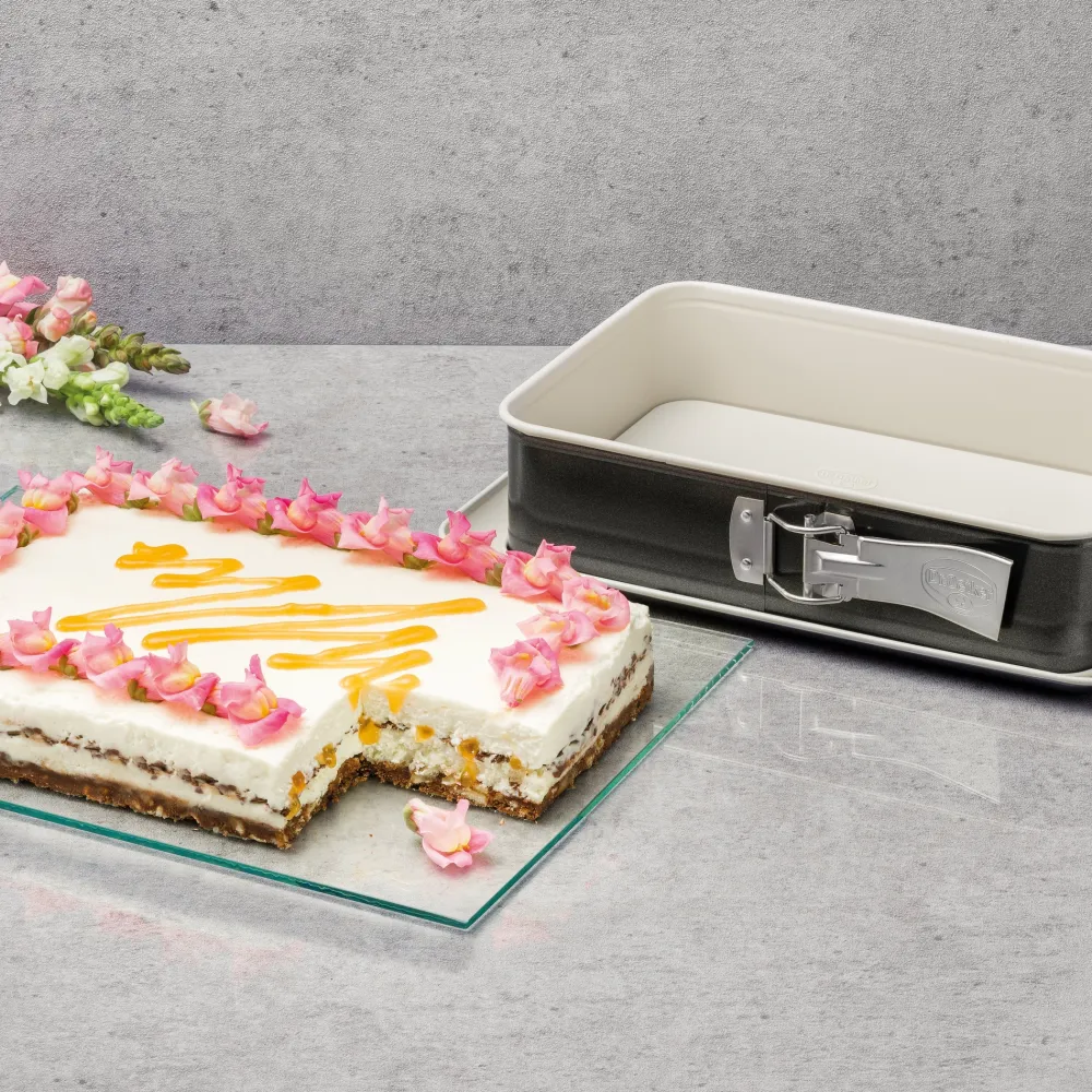 Dr. Oetker Springvorm Back-Trend Rechthoek 28 x 18 cm Best