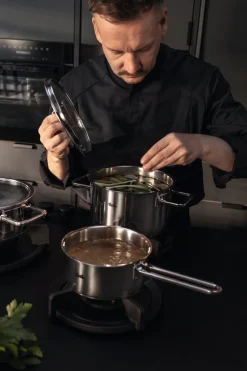 Steelpan Fissler Viseo Pro Met Glazen Deksel 16 cm