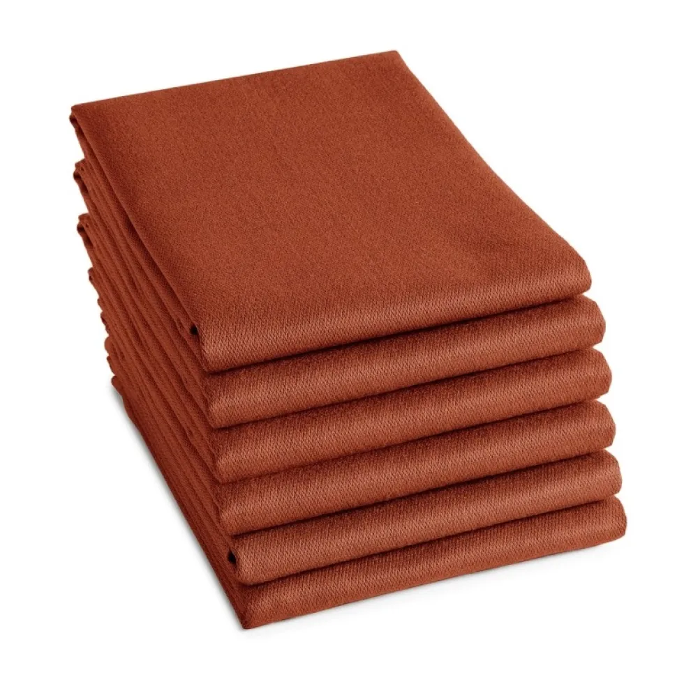 Theedoek DDDDD Logo Terra (Set van 6) FW24