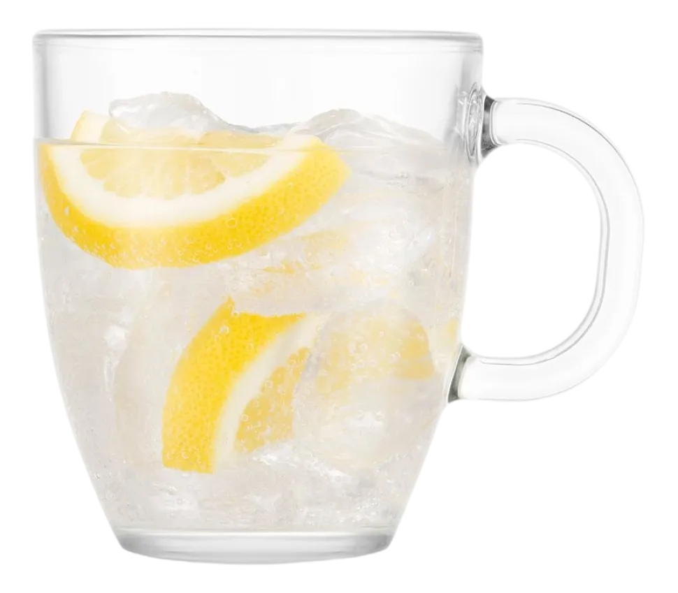 Theeglas Bodum Bistro Transparant 350 ml (Set van 6)