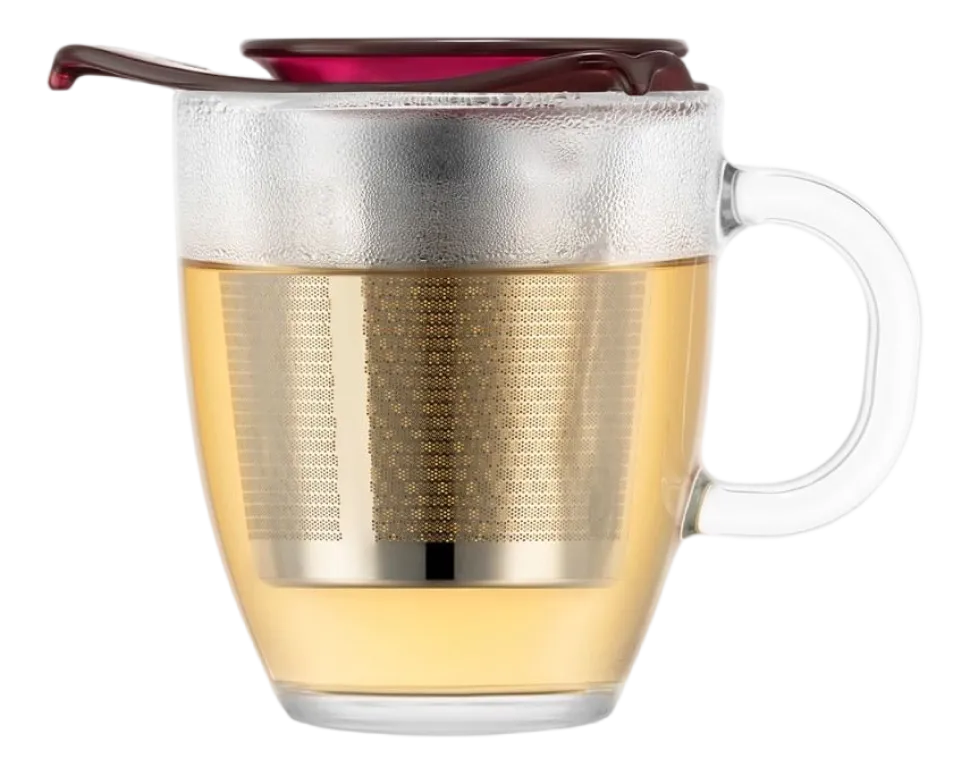 Theeglas Bodum Yoyo Met Filter Aubergine 350 ml