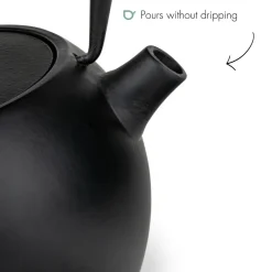 Theepot Bredemeijer Guizhou Cast Iron Black 0,75 L