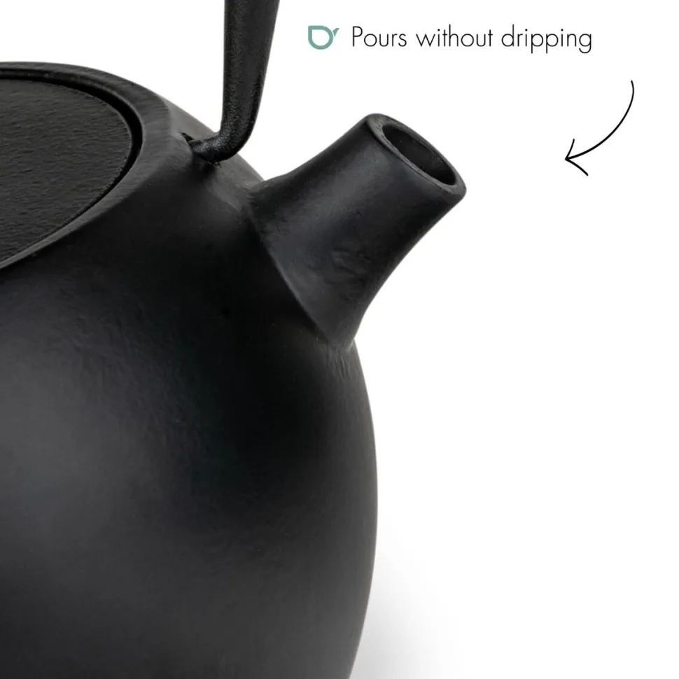 Theepot Bredemeijer Guizhou Cast Iron Black 0,75 L