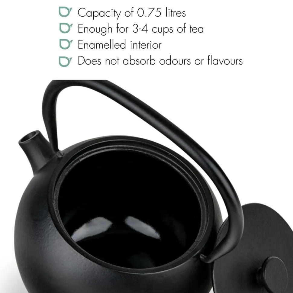 Theepot Bredemeijer Guizhou Cast Iron Black 0,75 L