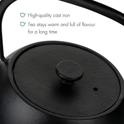 Theepot Bredemeijer Guizhou Cast Iron Black 0,75 L