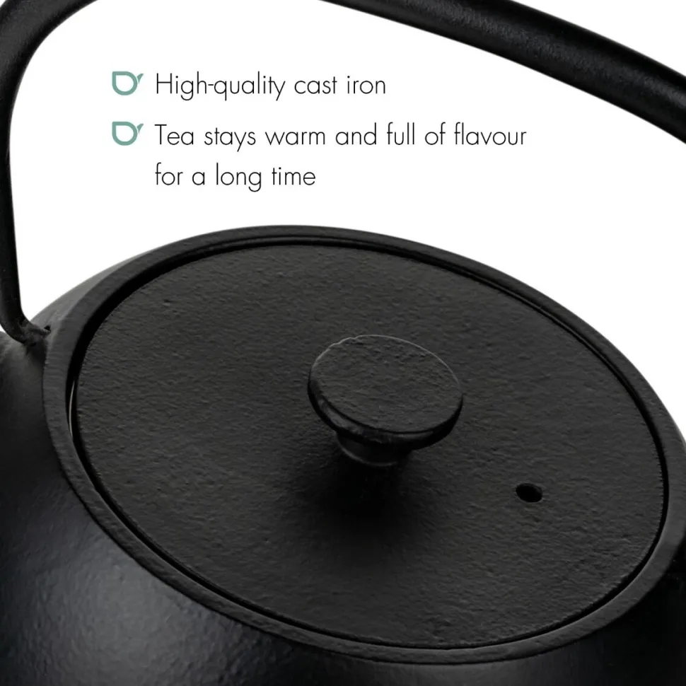 Theepot Bredemeijer Guizhou Cast Iron Black 0,75 L