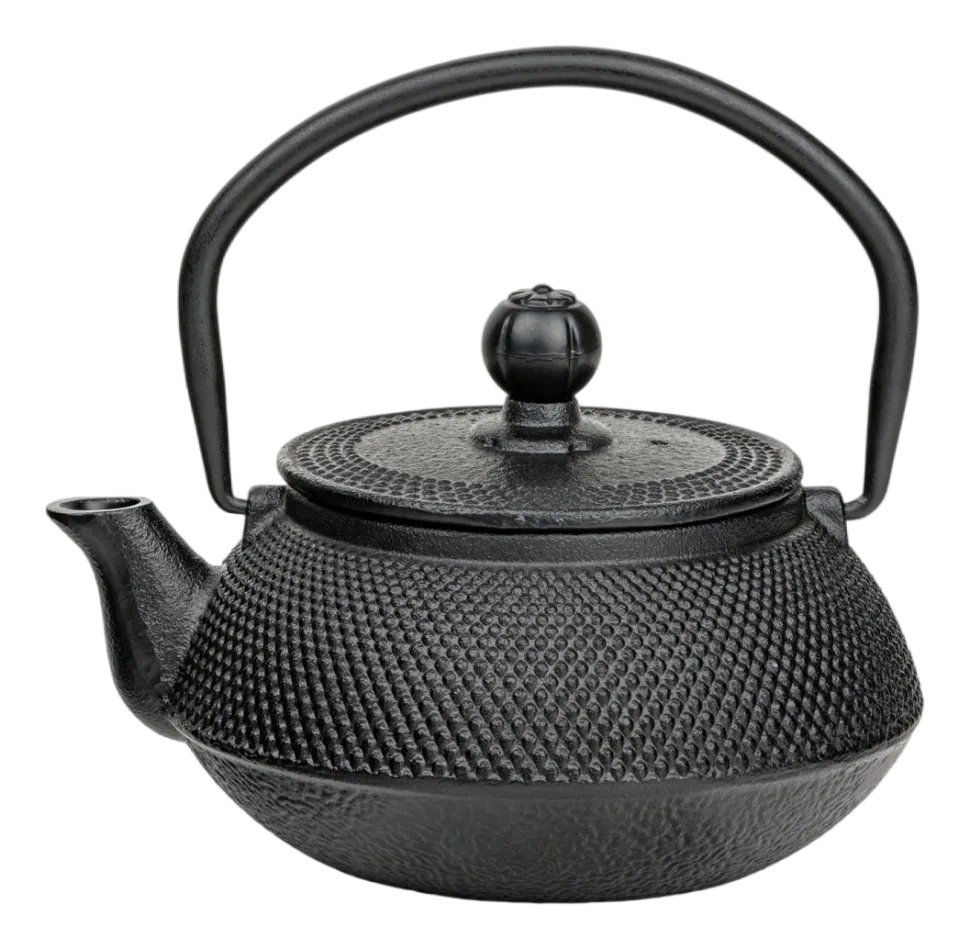 Theepot Bredemeijer Jang Gietijzer Zwart 0,5L