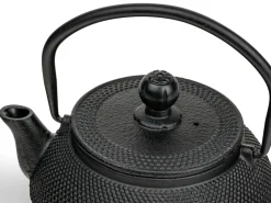 Theepot Bredemeijer Jang Gietijzer Zwart 0,5L