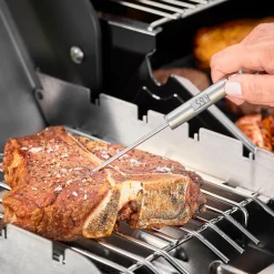 Thermometer Rosle Gourmet Zilver