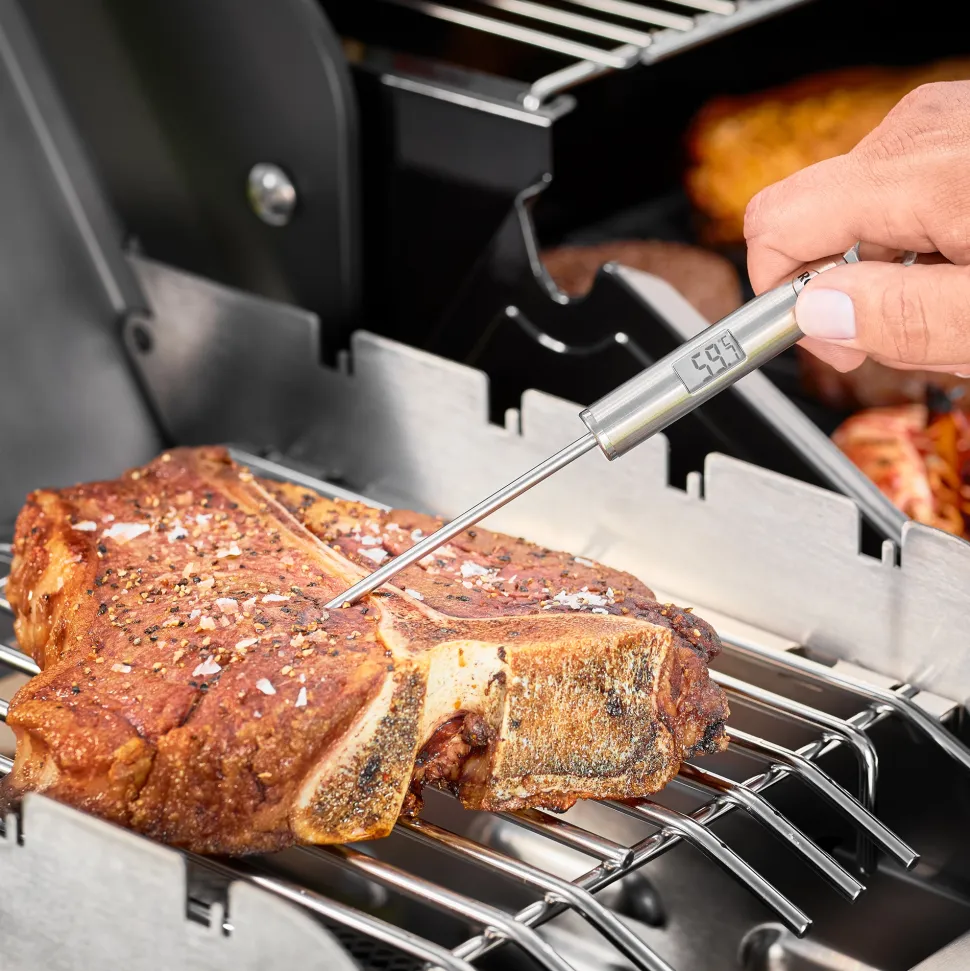 Thermometer Rosle Gourmet Zilver