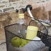Thermosbeker Rig-Tig Bring-It Yellow 340 ml