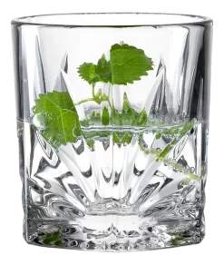 Tumbler Leonardo Capri 220 ml (Set van 4)