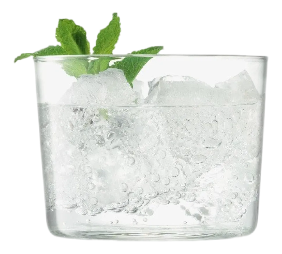 Tumbler L.S.A. Gio 220 ml (Set van 4)
