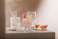 Schott Zwiesel Tumbler Fave 297 ml (Set van 4) Hot