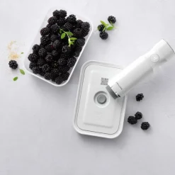 Zwilling Fresh & Save Medium Kunststof Discount