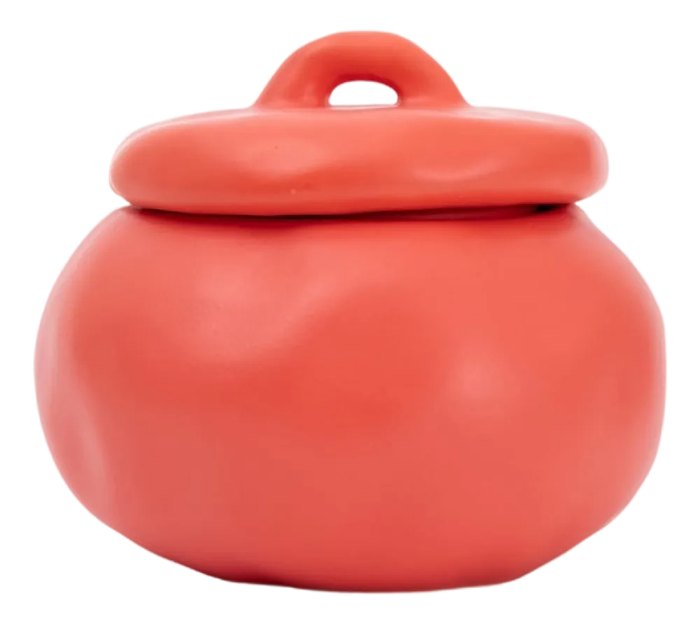 Home Studyo Voorraadpot Play Fred Tomato Sale