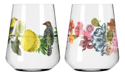 Ritzenhoff Waterglas Sommertau #1 #2 500 ml (Set van 2) New