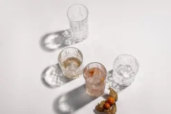 Schott Zwiesel Whiskyglas Show 334 ml (Set van 4) New