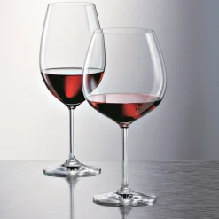 Wijnglas Bourgogne Schott Zwiesel Ivento (6-delig)