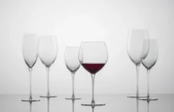 Schott Zwiesel Wijnglas/ Goblet Bourgogne Mondial (6-delig) New