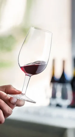 Luigi Bormioli Wijnglas Wine Tester D.O.C. ISO 215 ml (6-Delig) Outlet