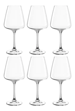 Witte Wijnglas Leonardo Paladino 540 ml (Set van 6)