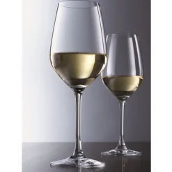 Witte Wijnglas Schott Zwiesel Viña (6-delig)