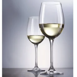 Schott Zwiesel Witte Wijnglas Classico (6-delig)