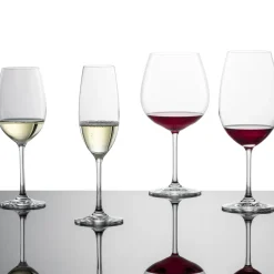 Schott Zwiesel Witte Wijnglas Ivento (6-delig) Best