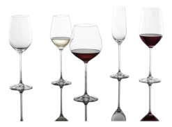 Witte Wijnglas Schott Zwiesel Fortissimo 404 ml (Set van 4)