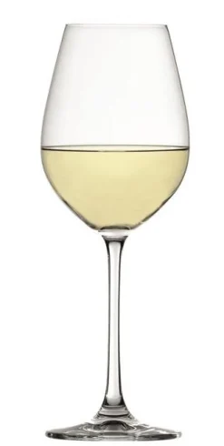 Witte Wijnglas Spiegelau Salute 465 ml (4-delig)