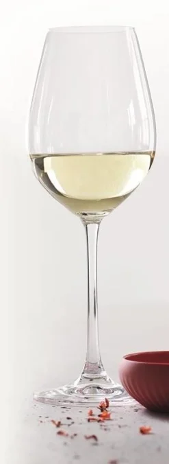 Witte Wijnglas Spiegelau Salute 465 ml (4-delig)