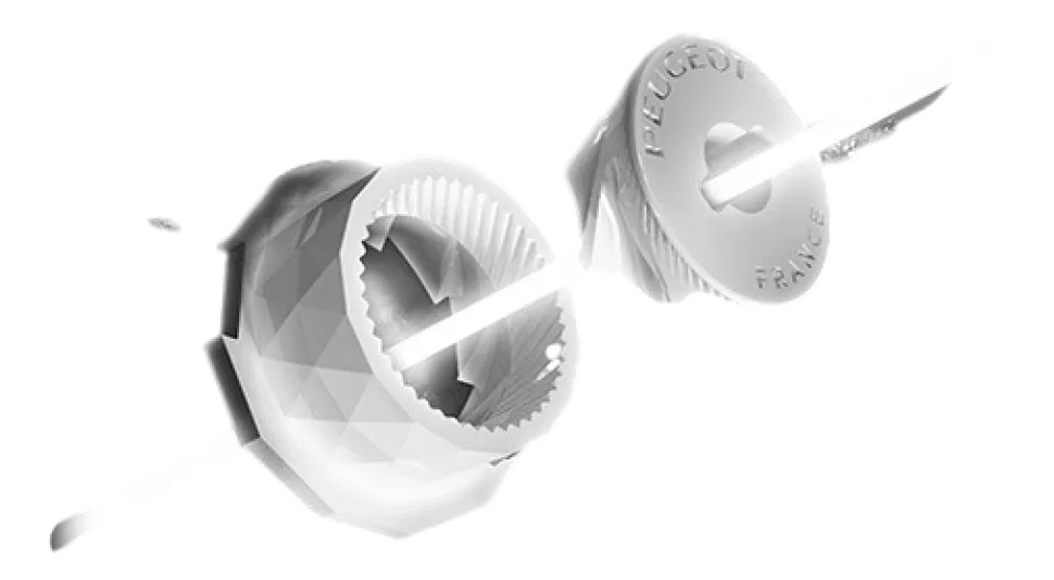 Zoutmolen Peugeot Boreal Vederwit 21 cm 2025